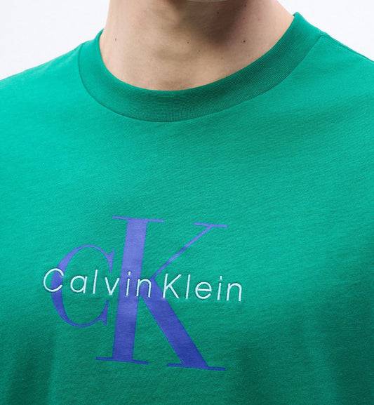 LV04RB862G T-SHIRT CALVIN KLEIN